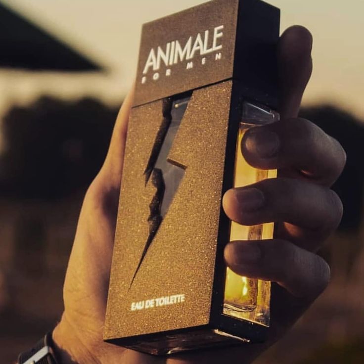 Animale For Men EDT 100ml Masculino