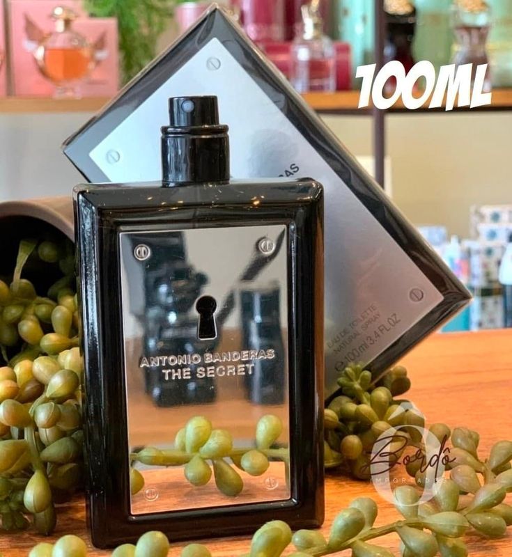 The Secret 100ml Masculino