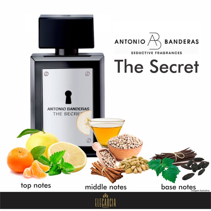 The Secret 100ml Masculino