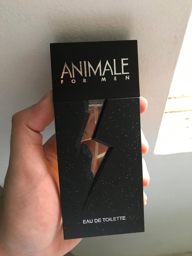 Animale For Men EDT 100ml Masculino