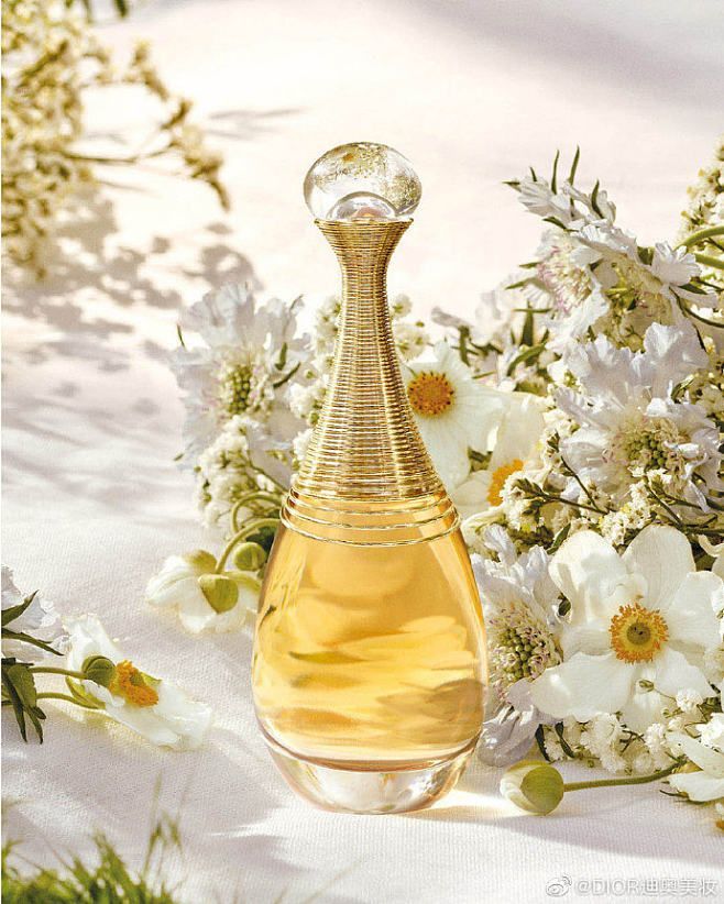 Dior J'adore EDP 100ml Feminino