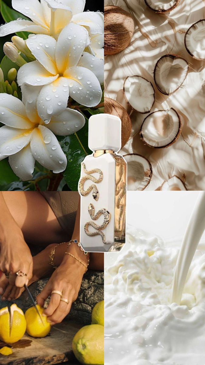 Veneno Bianco French Avenue EDP 100ml Unissex